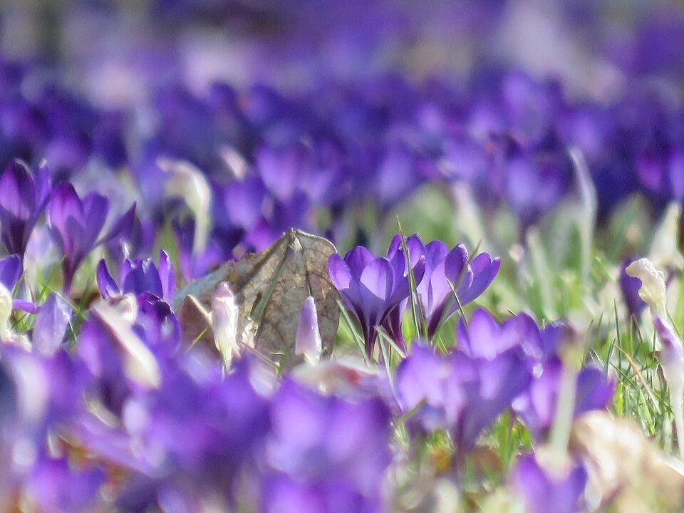 Die schönsten Frühlingsfotos aus den Haßbergen
