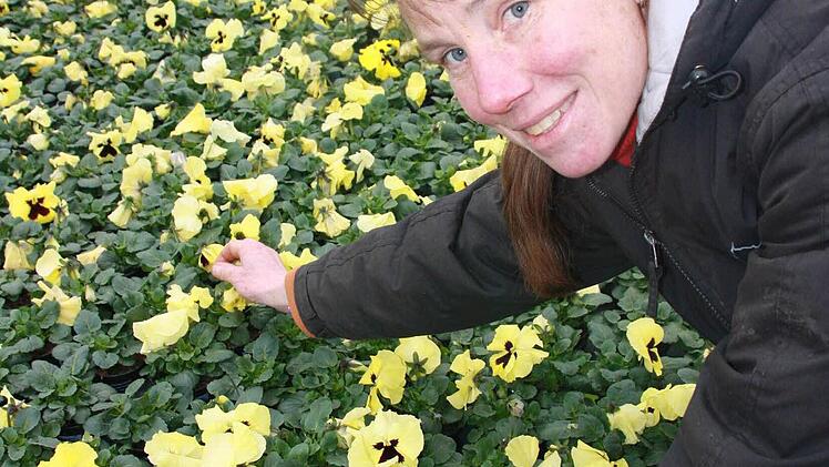 Gudrun Schröder zwickt welke Blüten ab.