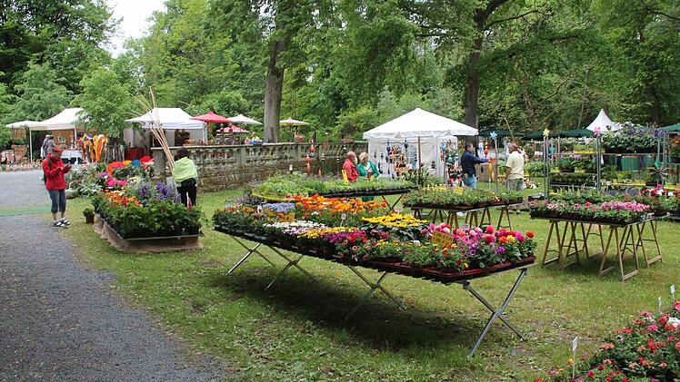 Am vergangenen Wochenende verwandelte sich der Park des Wasserschlosses Mitwitz beim 5. Fränkischen Gartenfest in ein Blütenmeer und Gartenparadies. Foto : Herbert Fischer