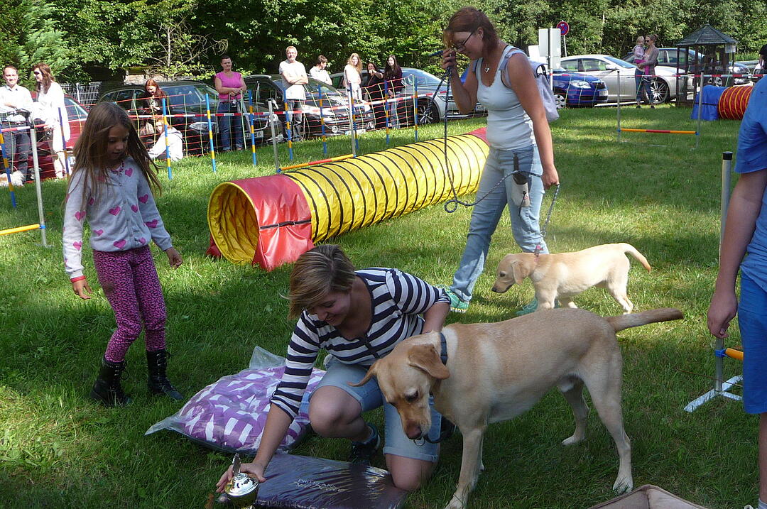 19.8.2017 Tierheimfest Kulmbach