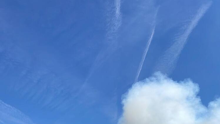 Waldbrand ruft Feuerwehr auf den Plan