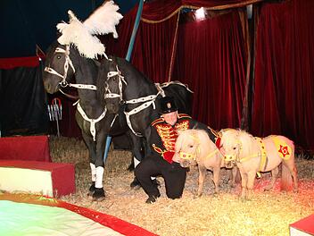 Tiertrainer Jeff Heilig betreut unter anderem die Pferde Ares und Zeus sowie die Ponys Piccolo und Mini.