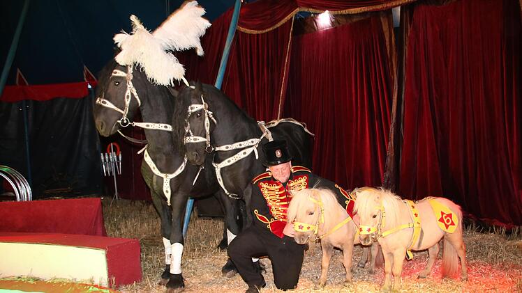 Tiertrainer Jeff Heilig betreut unter anderem die Pferde Ares und Zeus sowie die Ponys Piccolo und Mini.