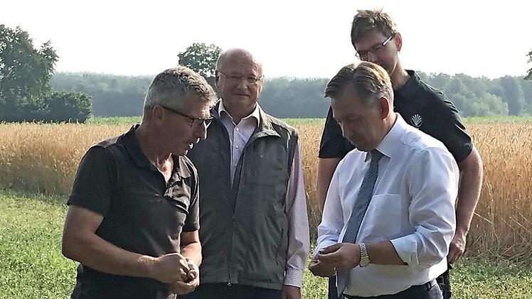 Rudolf Groß (von links) zeigt Horst Krehn, Alexander Tritthart und Robert Ort den momentane Stand des Getreides.
