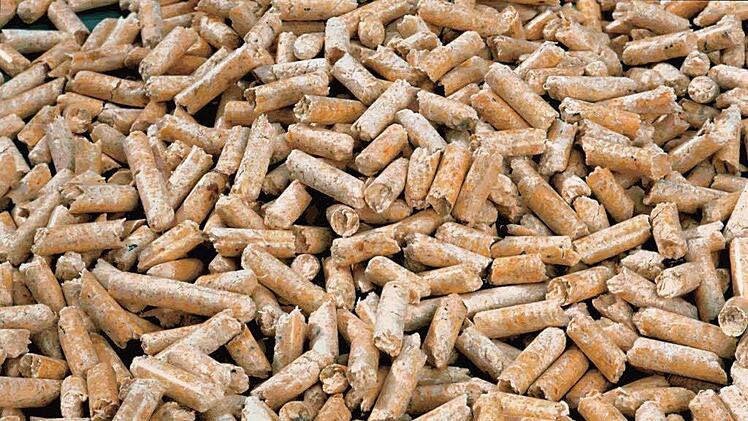 Holzpellets Foto: Archiv