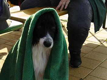 Sch&ouml;n, so ein Badetuch. &Uuml;berhaupt, wenn man dann auch noch trockengerubbelt wird.Christian Licha