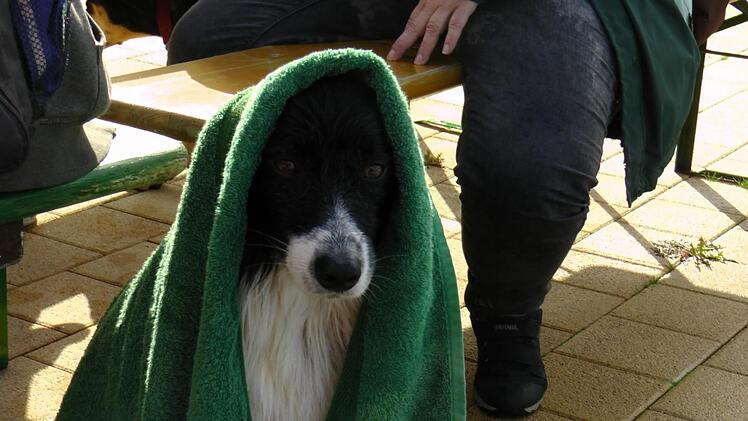 Sch&ouml;n, so ein Badetuch. &Uuml;berhaupt, wenn man dann auch noch trockengerubbelt wird.Christian Licha