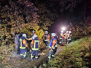 Schwerer Unfall bei Neustadt: 18-Jähriger prallt gegen Baum und wird in Auto eingeschlossen