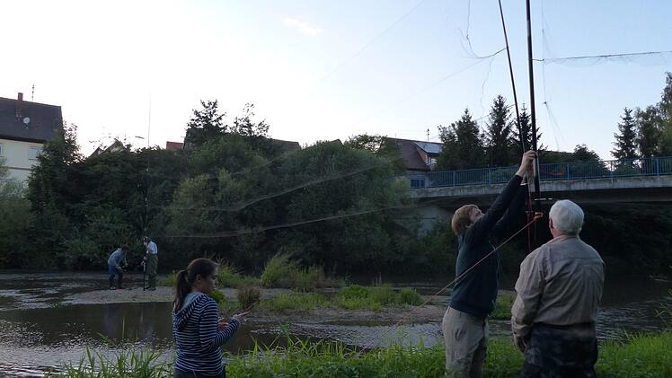 Alle helfen beim Aufbau der Fangnetze mit (im Vordergrund von links) Ahana Fernandez, Simon Ripperger und Eduard Zöbelein. Foto: Pauline Lindner