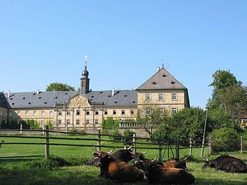 Steht vor dem Aus: der Wildpark Tambach. Im Hintergrund das barocke Schloss. Foto: Archiv/Kathrin Rögner