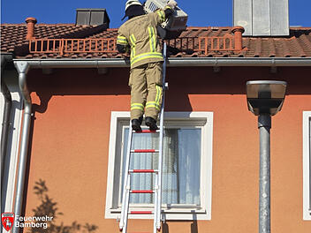 Bamberger Feuerwehr rettet Tier von Hausdach