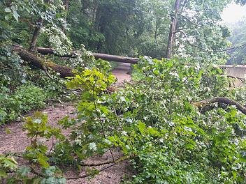 Bamberg: Fußweg zwischen Villa Concordia und Wolfsschlucht voll gesperrt
