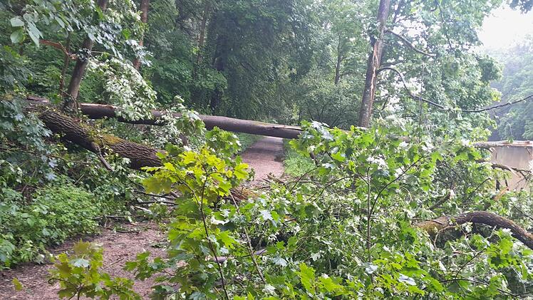 Bamberg: Fußweg zwischen Villa Concordia und Wolfsschlucht voll gesperrt