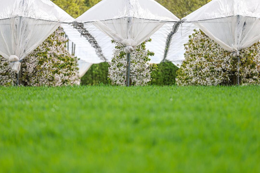 Fr&uuml;hlingswetter in Nordrhein-Westfalen