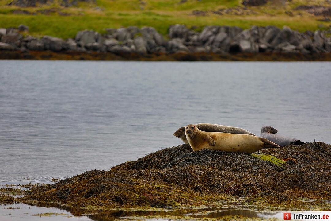 Bilder aus Island
