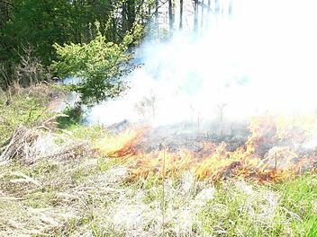 Wetterexperte Stefan Ochs prophezeit f&uuml;rs Wochenende und die Folgetage W&uuml;stenklima. Doch damit steigt die Waldbrandgefahr in Bayern. Foto: Feuerwehr Kulmbach/Archiv