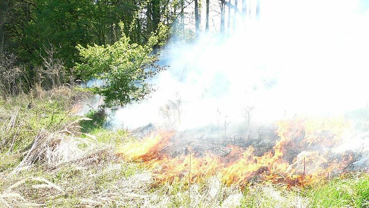 Wetterexperte Stefan Ochs prophezeit f&uuml;rs Wochenende und die Folgetage W&uuml;stenklima. Doch damit steigt die Waldbrandgefahr in Bayern. Foto: Feuerwehr Kulmbach/Archiv