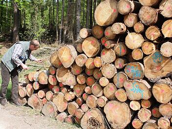 55 000 Festmeter Holz hat die Waldbesitzervereinigung Kulmbach-Stadtsteinach im vergangenen Jahr vermarktet. Geschäftsführer Theo Kaiser appellierte an die Mitglieder, ihre Bestände auch im kommenden Frühjahr auf Borkenkäferbefall zu überprüfen. Foto: Archiv