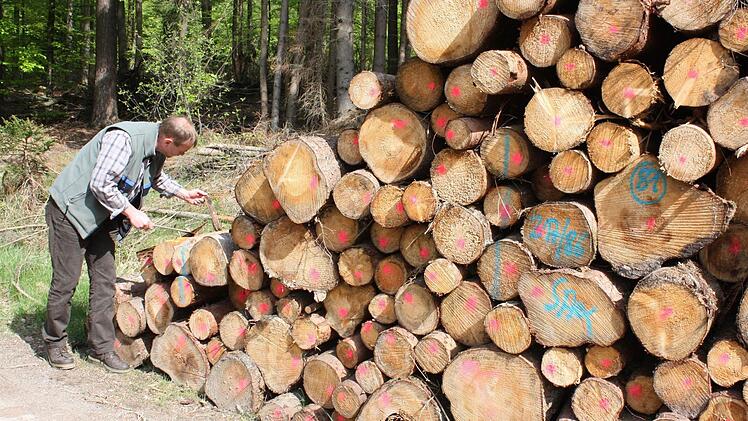 55 000 Festmeter Holz hat die Waldbesitzervereinigung Kulmbach-Stadtsteinach im vergangenen Jahr vermarktet. Geschäftsführer Theo Kaiser appellierte an die Mitglieder, ihre Bestände auch im kommenden Frühjahr auf Borkenkäferbefall zu überprüfen. Foto: Archiv