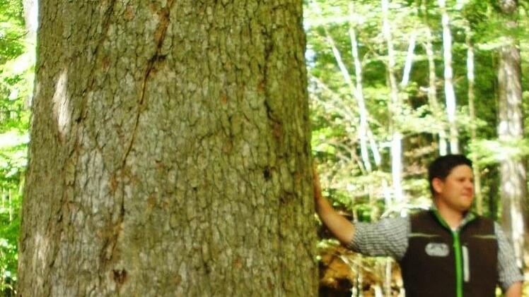 Eindrücke von der Informationsfahrt in den Bayerischen Wald. Foto: Friedwald Schedel