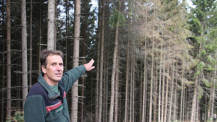 Einst war der Wald eine gute Einkommensquelle für die Waldbauern, mittlerweile haben sie mit Borkenkäfer und Preisverfall des Holzes zu kämpfen. Ob sie vom neuen Förderprogramm Unterstützen erhalten, ist fraglich. Das Archivbild zeigt Revierleiter Martin Körlin bei einer Waldbegehung. Er zeigt auf Schäden im Forst.