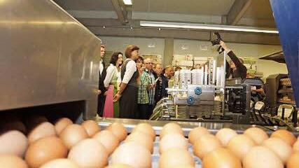 Besucher in der Sortieranlage