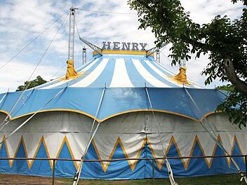 Das Zirkuszelt ist bereits aufgebaut. Aktuell sucht der Zirkus Henry nach Orten, an denen die Artisten und Tiere auftreten können.