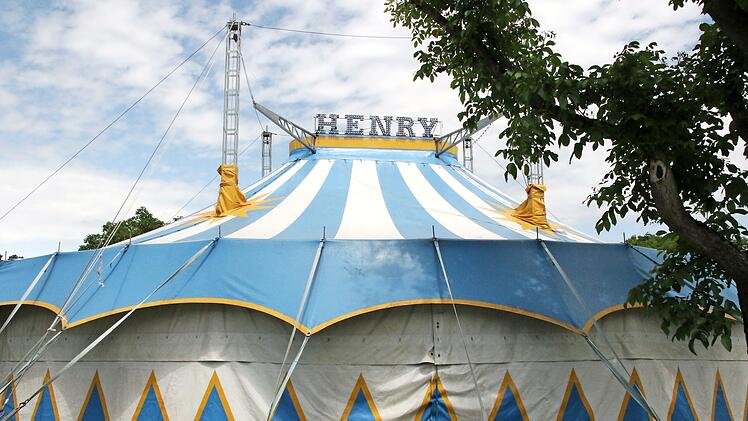 Das Zirkuszelt ist bereits aufgebaut. Aktuell sucht der Zirkus Henry nach Orten, an denen die Artisten und Tiere auftreten können.
