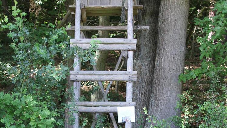 Wurde von diesem Jägerstand aus der tödliche Schuss abgefeuert?