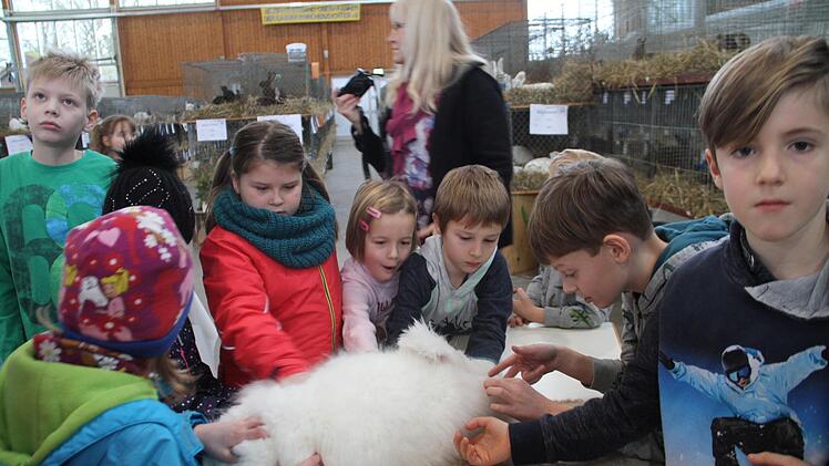 Die Kinder waren begeistert und die Kaninchen neugierig. Foto: Gerda Völk