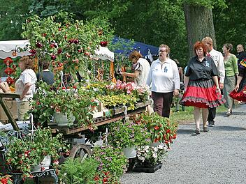 Gartenaussteller, Kunsthandwerker, Live-Musik und Biergarten - all das können die Besucher des Gartenmarkts am 9. bis 10. Juni (Samstag und Sonntag) im Park von Schloss Gereuth in der Gemeinde Untermerzbach erleben. Foto: privat