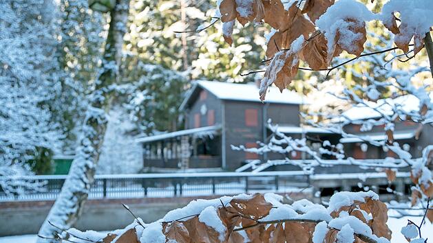 Das Kalenderblatt f&uuml;r den Februar 2022: Weitramsdorf