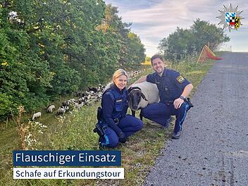 Zwei Streifenbesatzungen kümmerten sich um die Ausreißer.