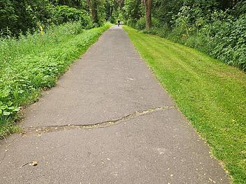 Sanierung am Weegmannufer: Wege im Bamberger Hain bis 2026 gesperrt