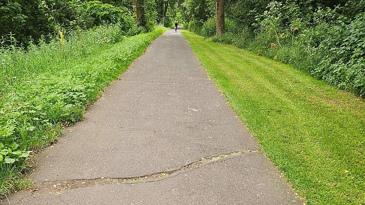 Sanierung am Weegmannufer: Wege im Bamberger Hain bis 2026 gesperrt