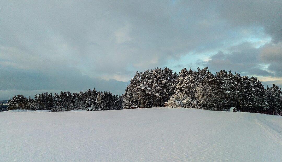 Schnee und Eis - Die schönsten Aufnahmen aus Franken