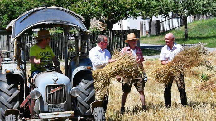 Als Erntehelfer ließen sich Zweckverbandsvorsitzender Rhön-Grabfeld-Landrat Thomas Habermann und sein Stellvertreter, Bezirkstagspräsident Erwin Dotzel, am Getreidefeld im Freilandmuseum nur kurz einspannen. Foto: Hanns Friedrich