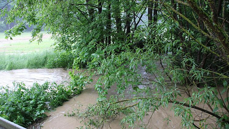 Die braune Brühe bahnte sich ihren Weg Richtung Schwarzach. Foto: Jürgen Gärtner