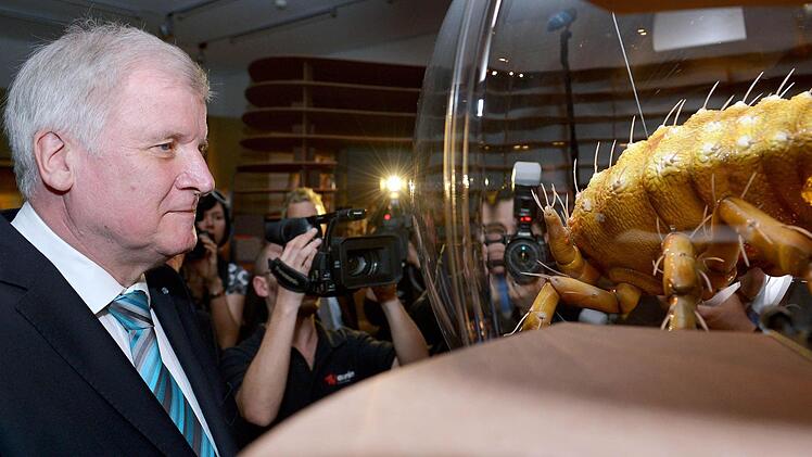Begegnung mit einer Reblaus. Foto: David Ebner/dpa