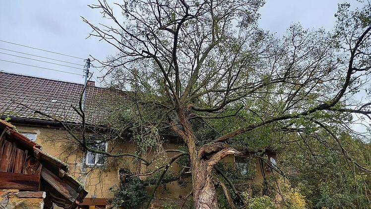Lichtenfels: Sturm "Ignatz" hinterlässt schwere Schäden