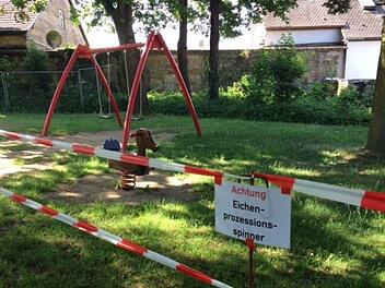 Auch auf dem Spielplatz am Scheßlitzer Rathaus weisen derzeit Absperrbänder auf den Eichenprozessionsspinner hin. Foto: Stefan Fößel