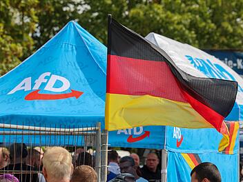 Wahlkampf der AfD