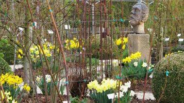 Impressionen aus dem Lehrgarten des Coburger Kreisverbandes für Gartenbau und Landespflege. Foto: Thomas Neder