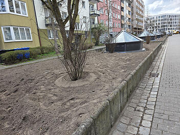 Nach der Erneuerung der Lichtkuppeln des U-Bahnhofs Rennweg Nach der Erneuerung der Lichtkuppeln des U-Bahnhofs Rennweg