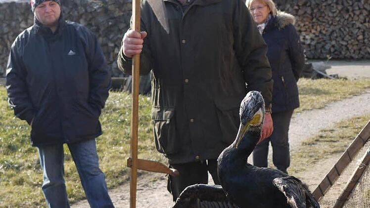 Der ausgestopfte Kormoran Foto: Pauline Lindner