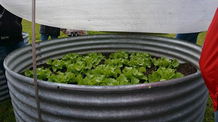 Praxisstunde für Gartenbau im Hausgarten Foto: Dagmar Besand