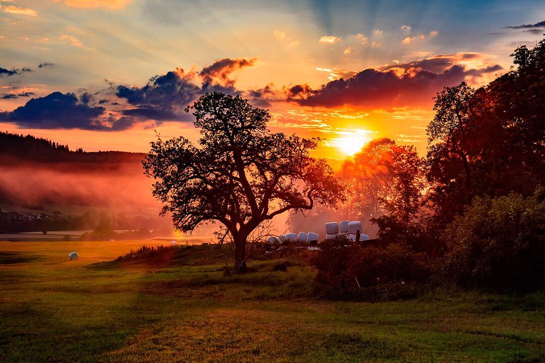 Die schönsten Sommerfotos aus Kronach und Umgebung