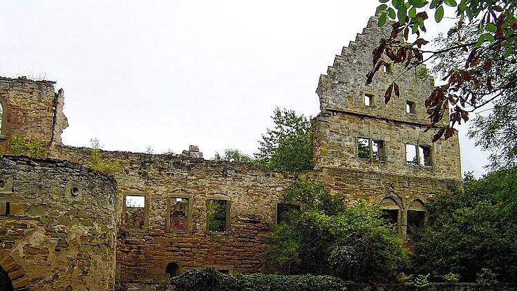 Schlossruine 2005 W&auml;sserndorf