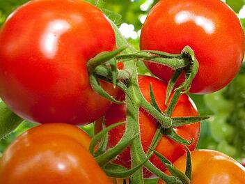 Symbolbild Foto: dpa