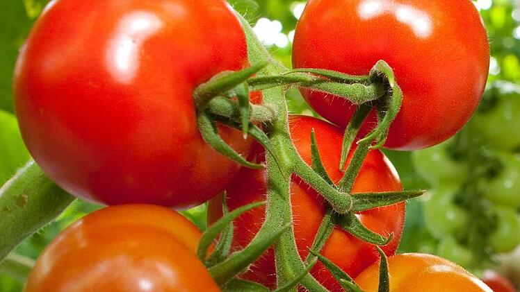 Symbolbild Foto: dpa